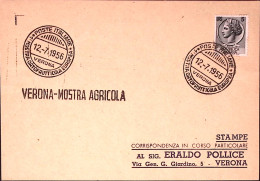 1956-1 MOSTRA ORTOFRUTTICOLA EUROPEA/VERONA Annullo Speciale E Lineare (12.7) Su - Expositions