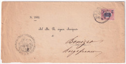 1880-SERVIZIO STATO Sopr. C.2/10,00 (36) Isolato Su Soprascritta - Marcophilie