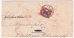 1881-SERVIZIO SOPR. C.2/10,00 (36) Isolato Su Piego - Marcofilie