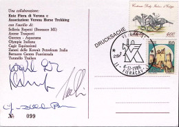 1986-VERONA 11 FIERA CAVALLI Annullo Speciale (6.11) Su Cartolina RAID EQUESTRE  - Altri & Non Classificati