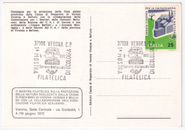 1972-VERONA 1 MOSTRA FILATELICA Di ECOLOGIA (5.6) Annullo Speciale Su Cartolina - Verona