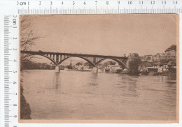 Petrovaradin, Danube River, Bridge - Servië