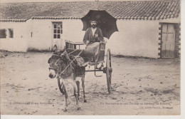 85 - CHALLANS - UN MARAICHIN ET SON ATTELAGE SE RENDANT AU MARCHE - Challans