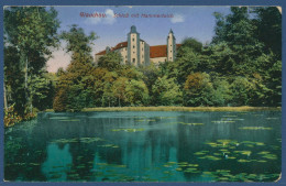 Glauchau Schloß Mit Hammerteich, Gelaufen 1921 (AK4524) - Glauchau