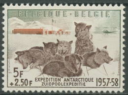 Belgien 1957 Südpolarexpedition Schlittenhunde 1072 Postfrisch - Ungebraucht