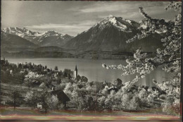 11293688 Hilterfingen Thunersee Bluemlisalp Niesen Hilterfingen Thunersee - Autres & Non Classés