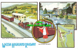 R569642 Welsh Highland Railway. Moel Tryfan. Beddgelert Station. Station Mistres - World