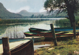 Belley (01 Ain) Lac De Barterand à Saint Champ - édit. Combier CPSM - Belley