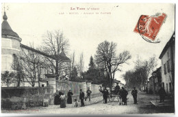 SOUAL - Avenue De Castres - Sonstige & Ohne Zuordnung