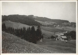 11293246 Wolfhalden AR Ferienheim Schonenbuehl Wolfhalden - Andere & Zonder Classificatie