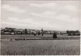 Bièvre - Panorama - Bievre