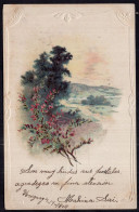 Argentina - 1904 - Illustration - Flowers - Colorized - Landscape - Blumen