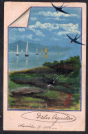 Argentina - 1904 - Painting - Birds Flying Over Lake And Sailing Boats - Pájaros