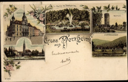 Lithographie Pforzheim Im Schwarzwald, Rathaus, Stadtgarten, Kirche, Wartturm, Kupferhammer - Andere & Zonder Classificatie