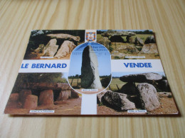 Le Bernard (85).Dolmens - Vues Diverses. - Other & Unclassified