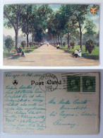 AK Chicago Illinois Lincoln Park 1911 Gebraucht #PA414 - Other & Unclassified