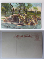 AK Chicago Illinois Sea Lions Lincoln Park 1911 Ungebraucht #PA424 - Other & Unclassified