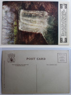 AK Minneapolis Where The Falls Of Minnehaha Ungebraucht #PA846 - Other & Unclassified