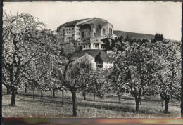 11283560 Dornach SO Goetheanum Dornach - Otros & Sin Clasificación