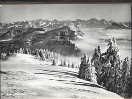 11283477 Rigi Kloesterli Alpen Rigi Kloesterli - Autres & Non Classés