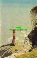 R570454 Beachy Head Lighthouse. Eastbourne. PT3142 - World