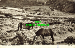 R583013 Dartmoor Ponies Above Dartmeet. Jarrold. Cotman Color. 1961 - World