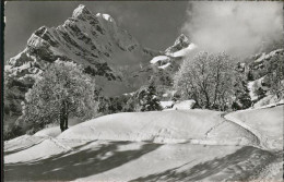 11283264 Braunwald GL Am Hoehenweg Ortsock Hoher Turm Braunwald - Andere & Zonder Classificatie