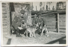 Militaires Allemands (?) + Chiens En Finlande En 1943 - Photo 8,6 X 5 Cm /GP77 - Autres & Non Classés