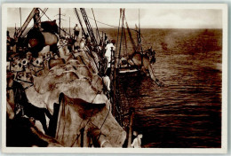 39293911 - Somalia Italiana Ausschiffung Von Dromedaren - Other & Unclassified