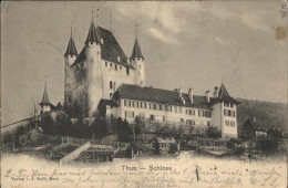 11282261 Thun Schloss Thun - Autres & Non Classés