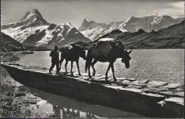 11282253 Bachalpsee Faulhornpost Pferde Bachalpsee - Autres & Non Classés