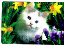 Chat  - Cat -katze -  Poesje Bloemen - 3D - Katten