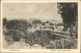 11269460 Palaestina Tabgha See Genesareth Palaestina - Israel