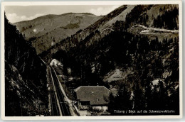 52250911 - Triberg Im Schwarzwald - Triberg