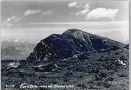 50439911 - Monte Baldo, Altissimo - Autres & Non Classés