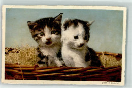 39795311 - Foto J. Gaberell Kitten Verlag J. Gaberell No. 18925a - Cats