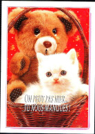 Chat Et Ours  -cat  Bear -katze Bär- Witte Poes En Beer In Mand - Cats