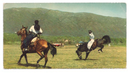 ARGENTINA // COSQUÍN // FESTIVAL DEL FOLKLORE // LA DOMA DE POTROS - Sonstige & Ohne Zuordnung