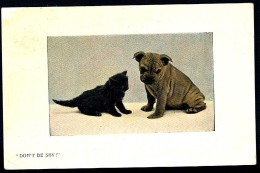 Chien Et Chat -cat And Dog  - Zwart Poesje En Mopshond -katze Hund - Cats