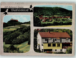 10565411 - Annweiler Am Trifels - Andere & Zonder Classificatie