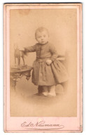 Fotografie Eduard Naumann, Meerane I. S., Kleines Kind Mit Spielzeugpferd  - Anonyme Personen