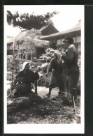 Foto-AK Japan, Japanerin Bei Der Arbeit Im Garten  - Unclassified