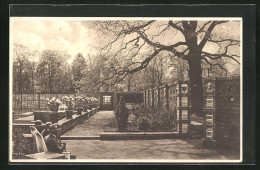 AK Dresden, Gartenbau-Ausstellung 1926, Garten Der Rosenfreundin  - Tentoonstellingen