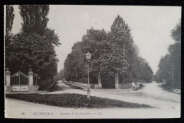 92 - VAUCRESSON - Avenue De La Jonchère - Vaucresson