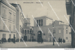 Bu37 Cartolina Maddaloni Municipio Provincia Di Caserta Campania - Caserta