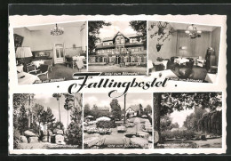 AK Fallingbostel, Hotel Zum Böhmetal, Hermann Löns-Grab, Siebensteinhäuser  - Fallingbostel