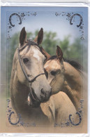 Horse - Cheval - Paard - Pferd - Cavallo - Cavalo - Caballo - Häst - Korttiriihi - Double Card - Horses