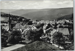 50440211 - Waldkatzenbach - Autres & Non Classés