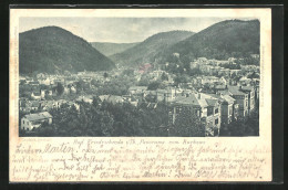 AK Bad Friedrichroda / Thür., Panorama Vom Kurhaus Gesehen  - Friedrichroda