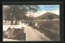 AK Teplitz Schönau / Teplice, Blick Zum Schlossberg, Restaurant Auf Dem Schlossberg  - Tchéquie